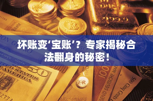 北京坏账变‘宝账’？专家揭秘合法翻身的秘密！