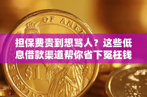 北京担保费贵到想骂人？这些低息借款渠道帮你省下冤枉钱