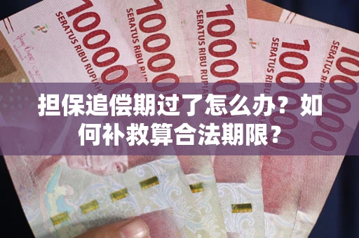 北京担保追偿期过了怎么办？如何补救算合法期限？