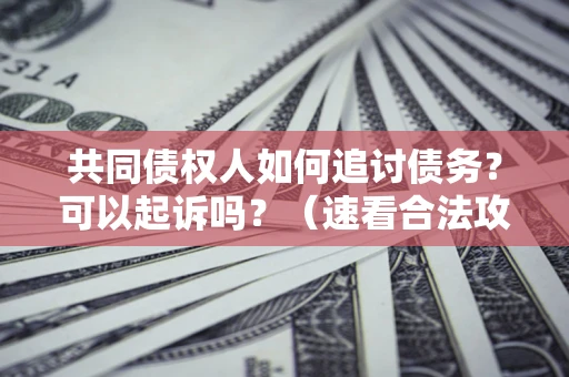 北京共同债权人如何追讨债务？可以起诉吗？（速看合法攻略）